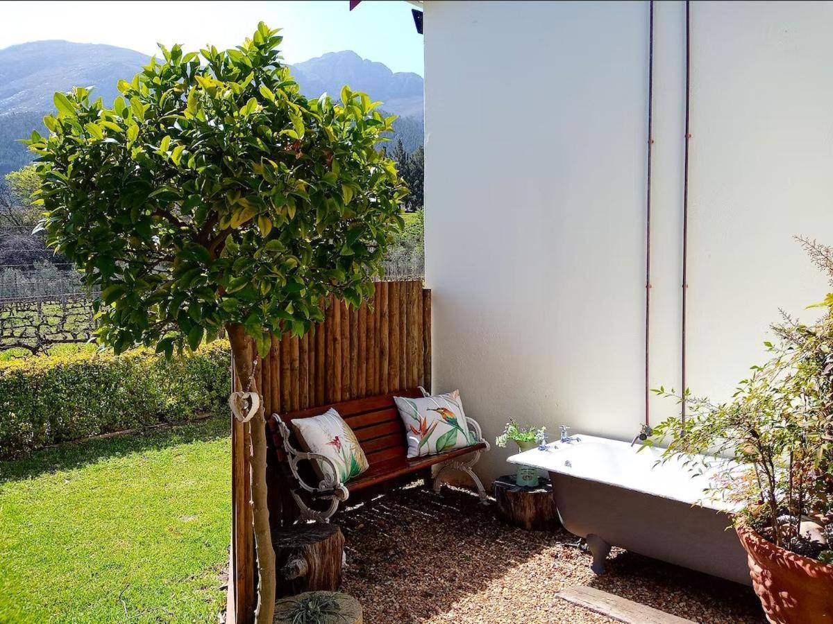 Olive And Vine Farm Cottage Franschhoek Zimmer foto