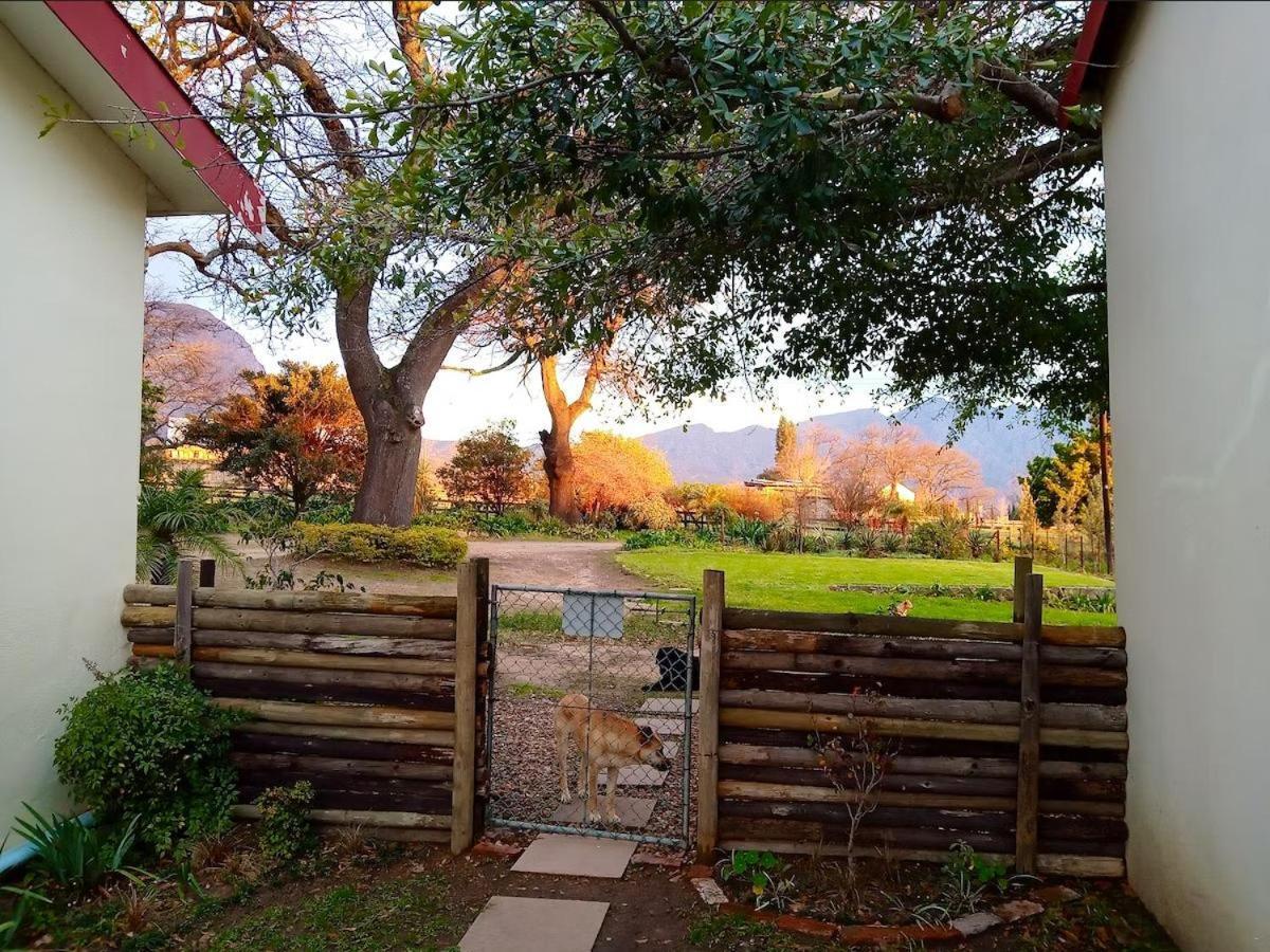 Olive And Vine Farm Cottage Franschhoek Zimmer foto